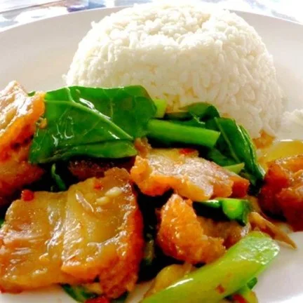 อาหารตามสั่งป้าเขียด