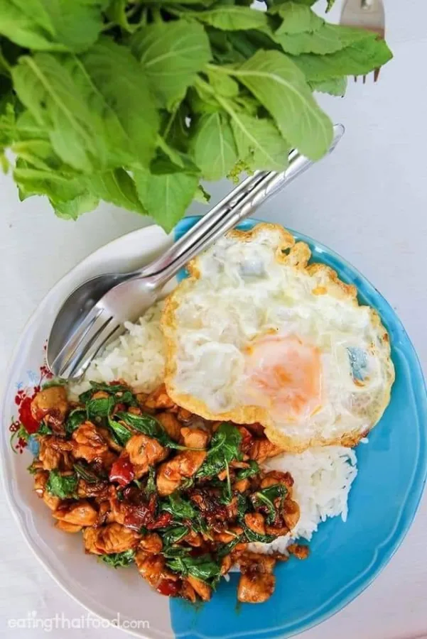 กระเพราหอม?พริกแห้งครัวบ้านส้ม?