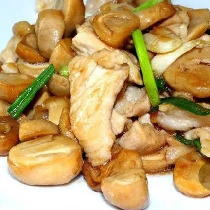 ข้าวกระเพราหมู,ไก่ ฟรีไข่ดาว
