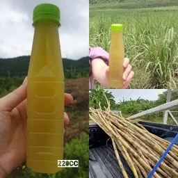 Akumo น้ำมะพร้าวน้ำหอม น้ำส้มคั้น น้ำผลไม้สด