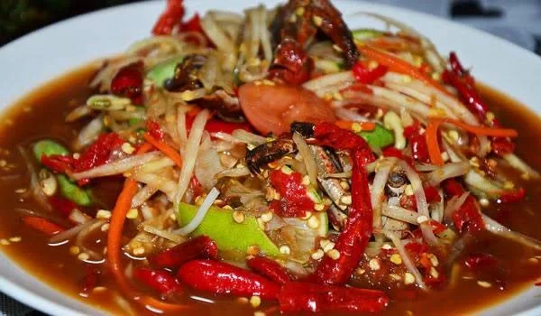ลาบก้อยกาฬสินธุ์เจ้าเก่า  ฅนกินลาบ