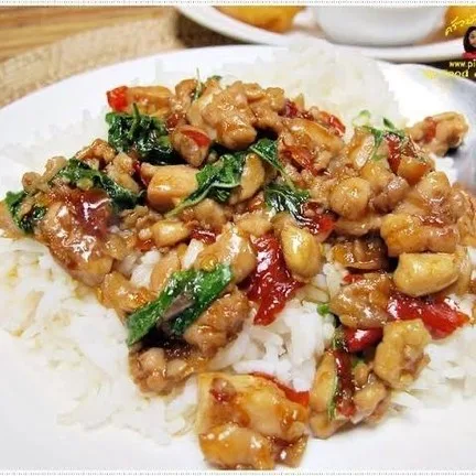 แซ่บนัวครัวกะเพราและไข่ข้น?️หนองแขม