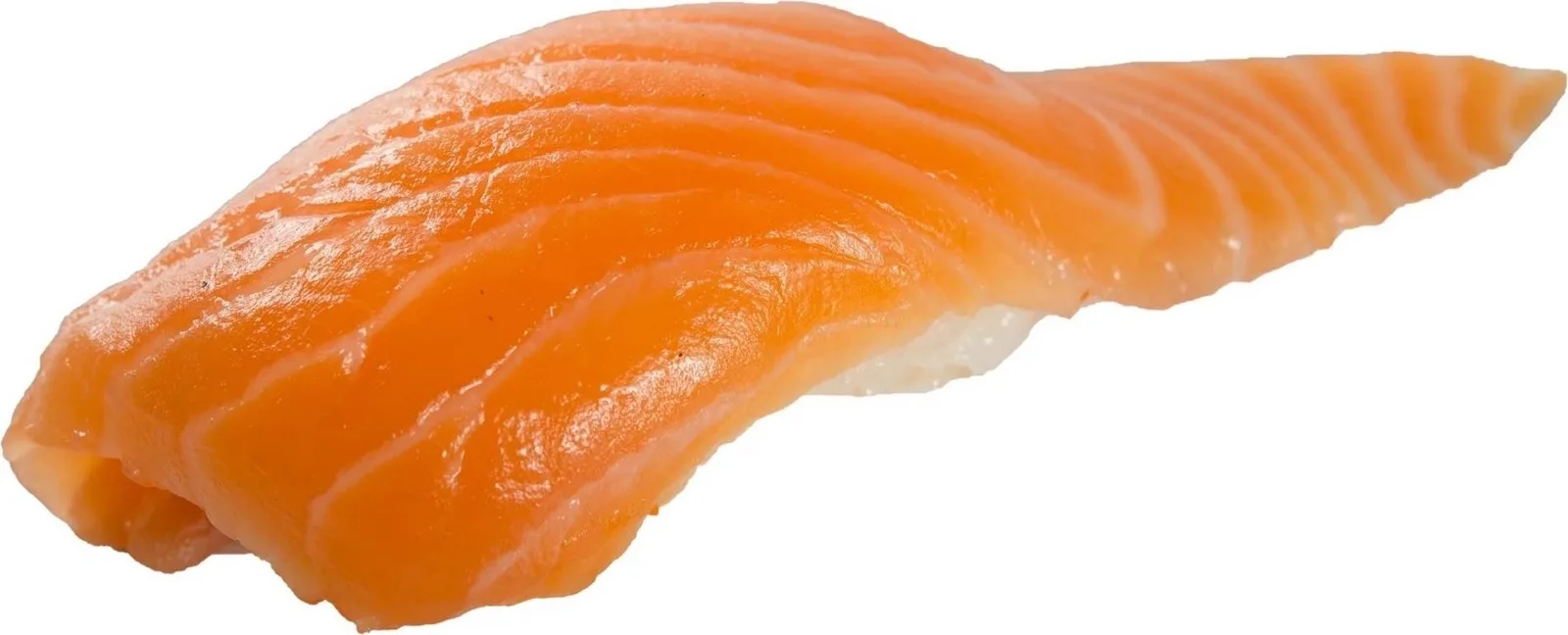 ซูชิ แซลม่อน
