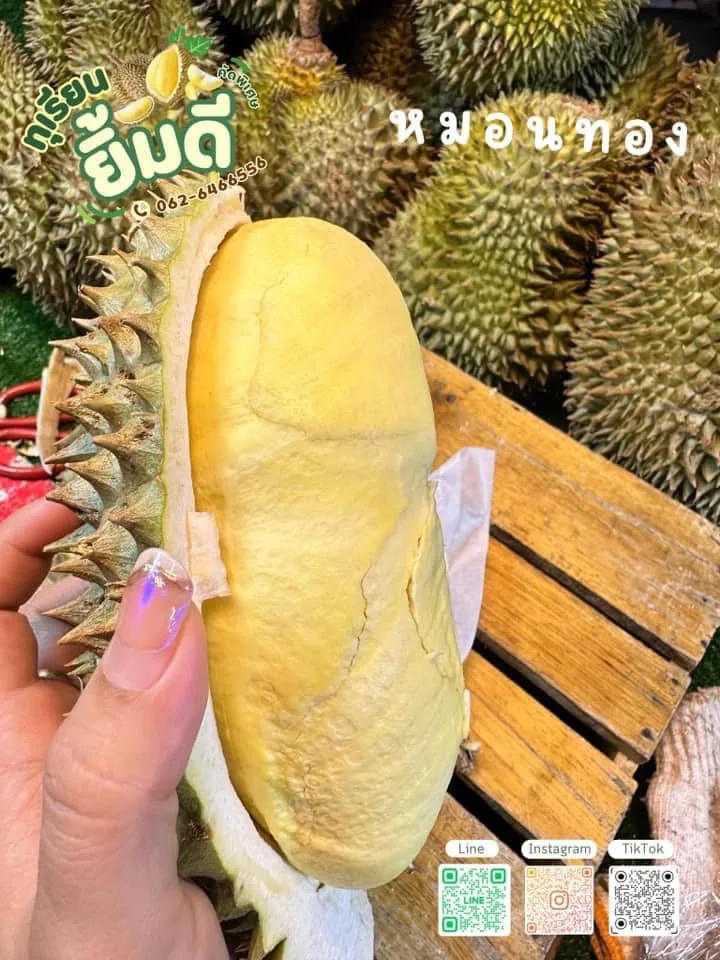 ทุเรียนยิ้มดี คัดพิเศษ