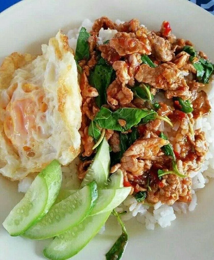 กระเพราพุงกาง ฮาลาล