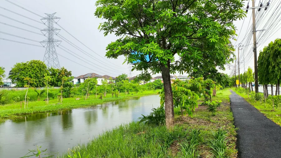 สวนคลองปักหลัก
