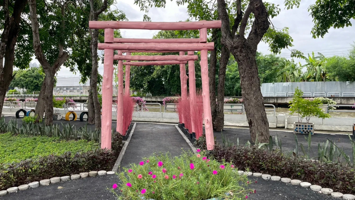 สวนชมพูพันธุ์ทิพย์