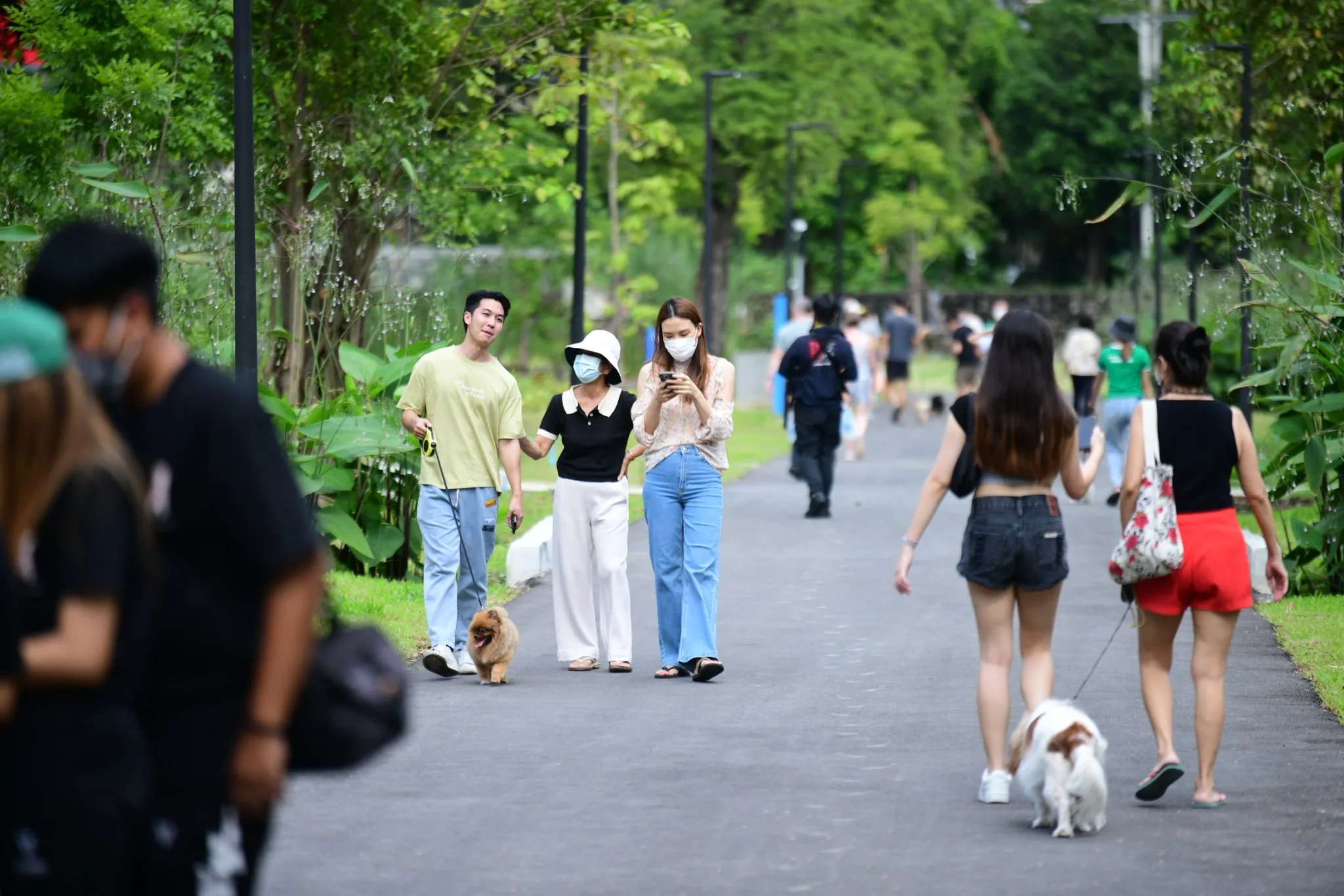 Dog Park ในสวนสาธารณะ กทม.