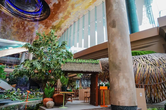 Ginger Farm (ICONSIAM)